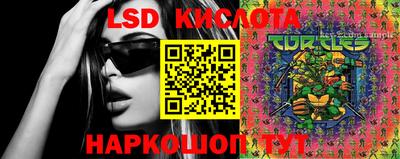 дмт Кимры
