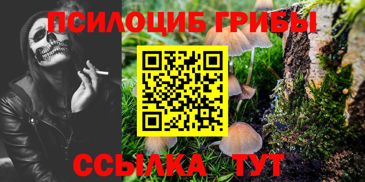 Галлюциногенные грибы GOLDEN TEACHER Котлас
